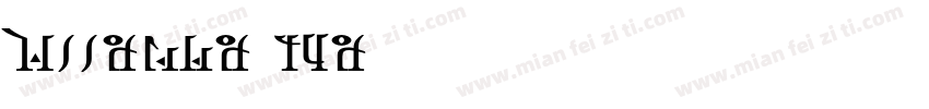 wiinman tun90003字体转换